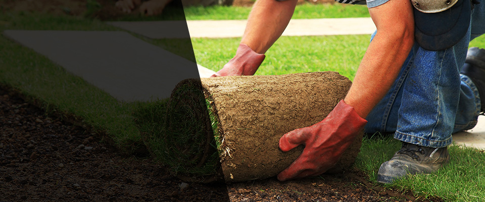 Stockholm Landscapers